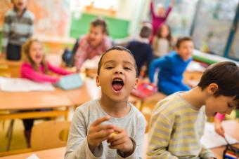 Addressing Challenging Behaviors and Mental Health Issues: What We Need to Know